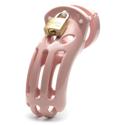 The Curve Chastity Cock Cage Kit - Pink - Pink 3.75 Inch Cock Cage Kit