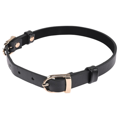 Sex & Mischief Double Buckle Day Collar - Black Collar